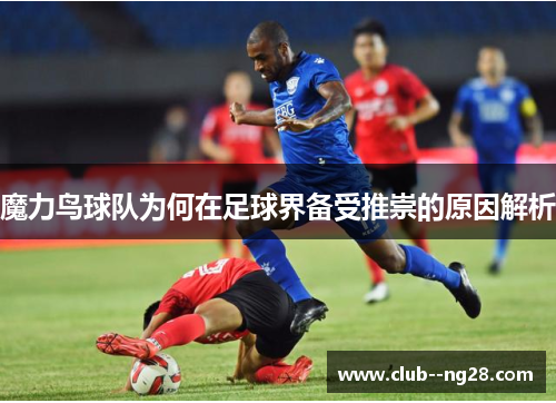 魔力鸟球队为何在足球界备受推崇的原因解析