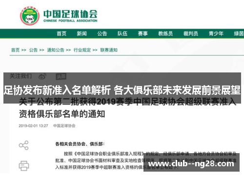 足协发布新准入名单解析 各大俱乐部未来发展前景展望