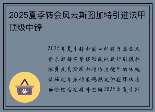2025夏季转会风云斯图加特引进法甲顶级中锋 2025夏季转会风云斯图加特引进法甲顶级中锋